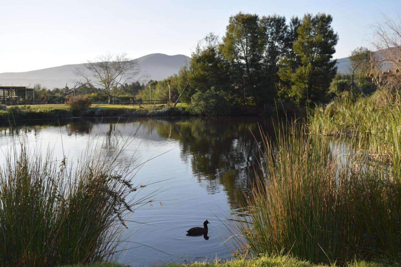 Tenikwa Wildlife Centre & Spa Plettenberg Bay Exterior foto