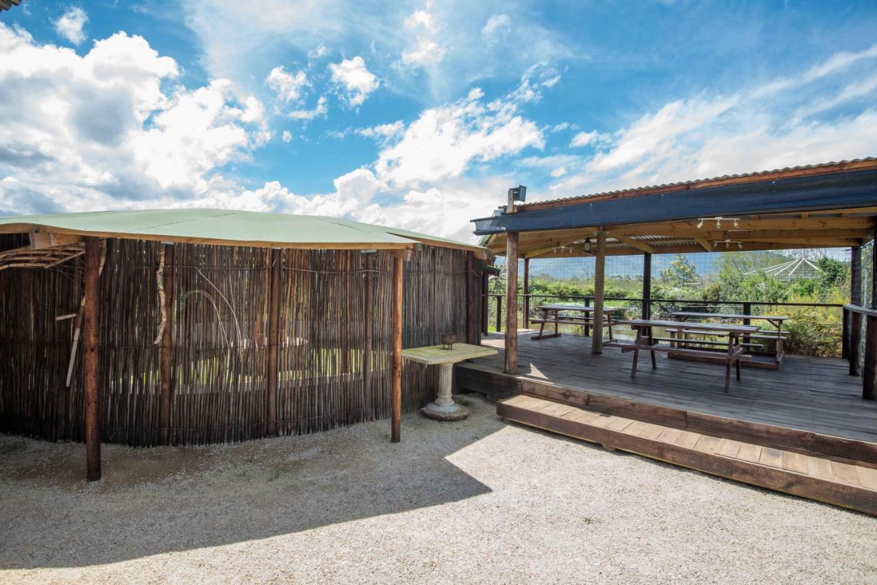 Tenikwa Wildlife Centre & Spa Plettenberg Bay Exterior foto